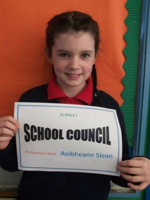 I am Aoibheann and I am one of the P5 Representatives on the School Council