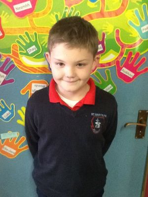 Darragh represents P5 on the Eco Schools Council